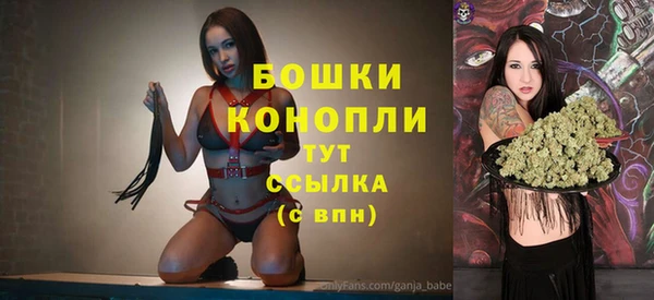 сатива Ельня