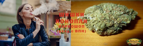 сатива Ельня