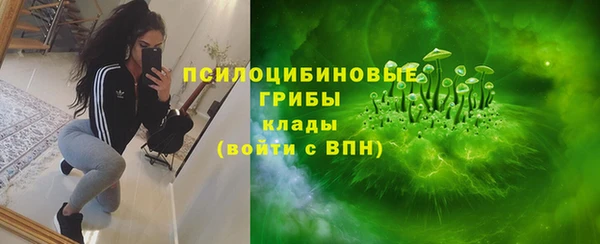 сатива Ельня
