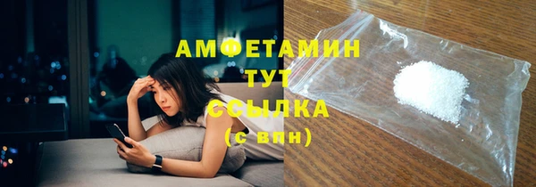 сатива Ельня
