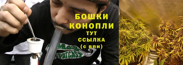 сатива Ельня