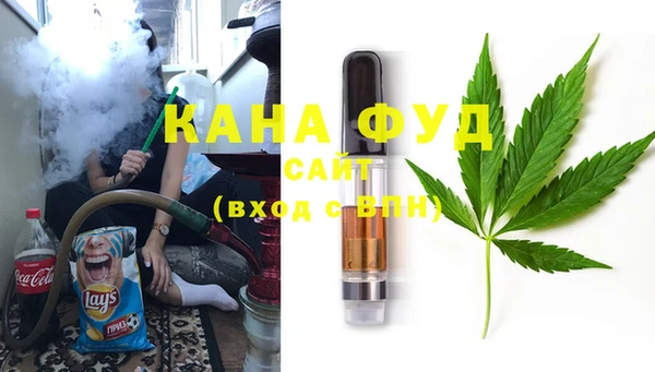 сатива Ельня