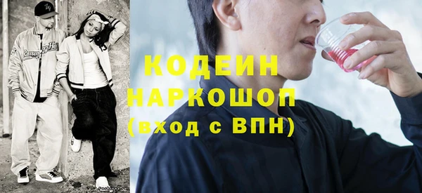 сатива Ельня