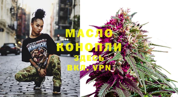 сатива Ельня