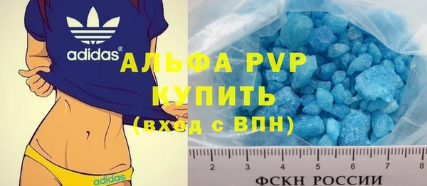 сатива Ельня