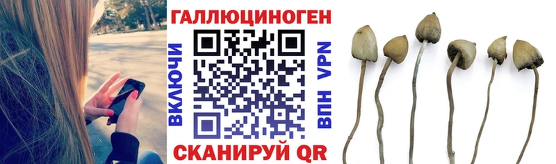 Купить  Новая Ляля  Галлюциногенные грибы Cubensis 